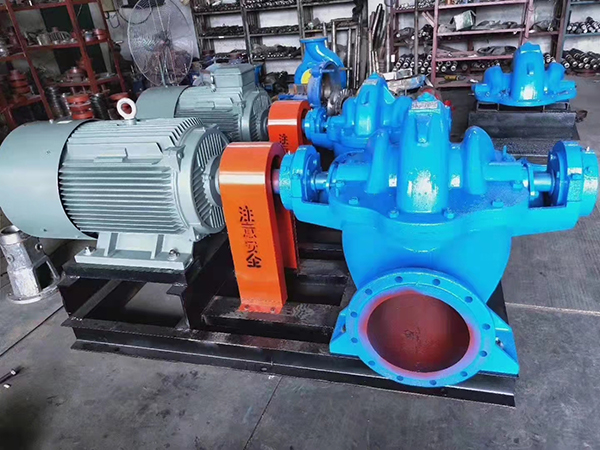 清(qing)水S.SH性雙吸(xi)泵